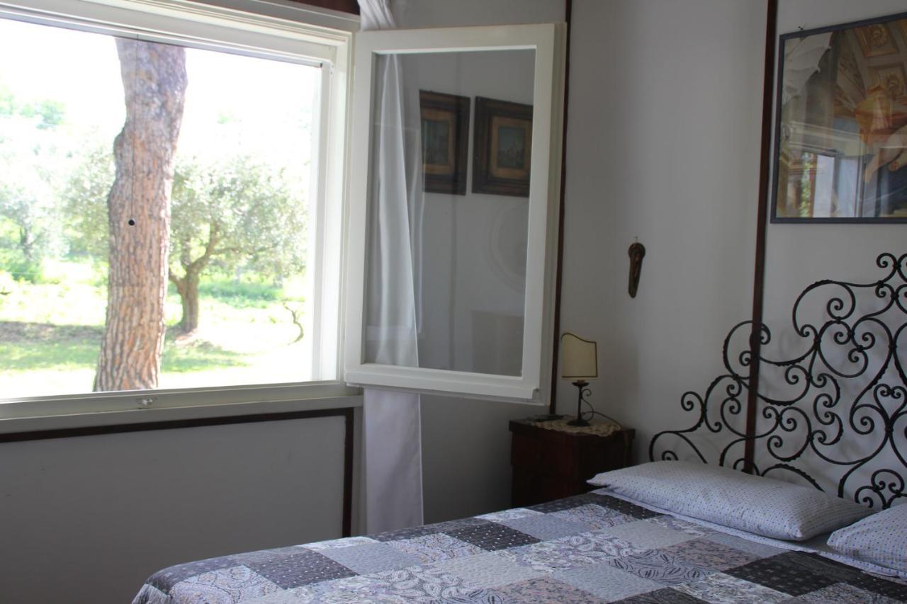 La Villa Del Nonno Montefelcino Exteriör bild