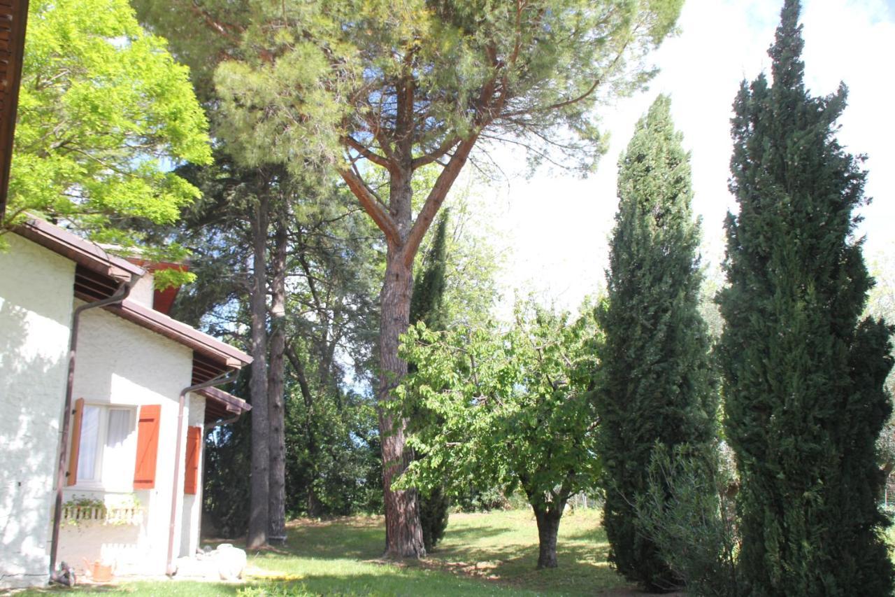 La Villa Del Nonno Montefelcino Exteriör bild